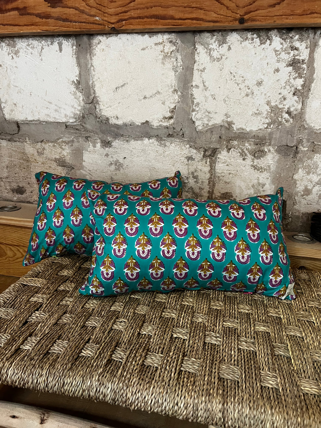Coussin Indiennes