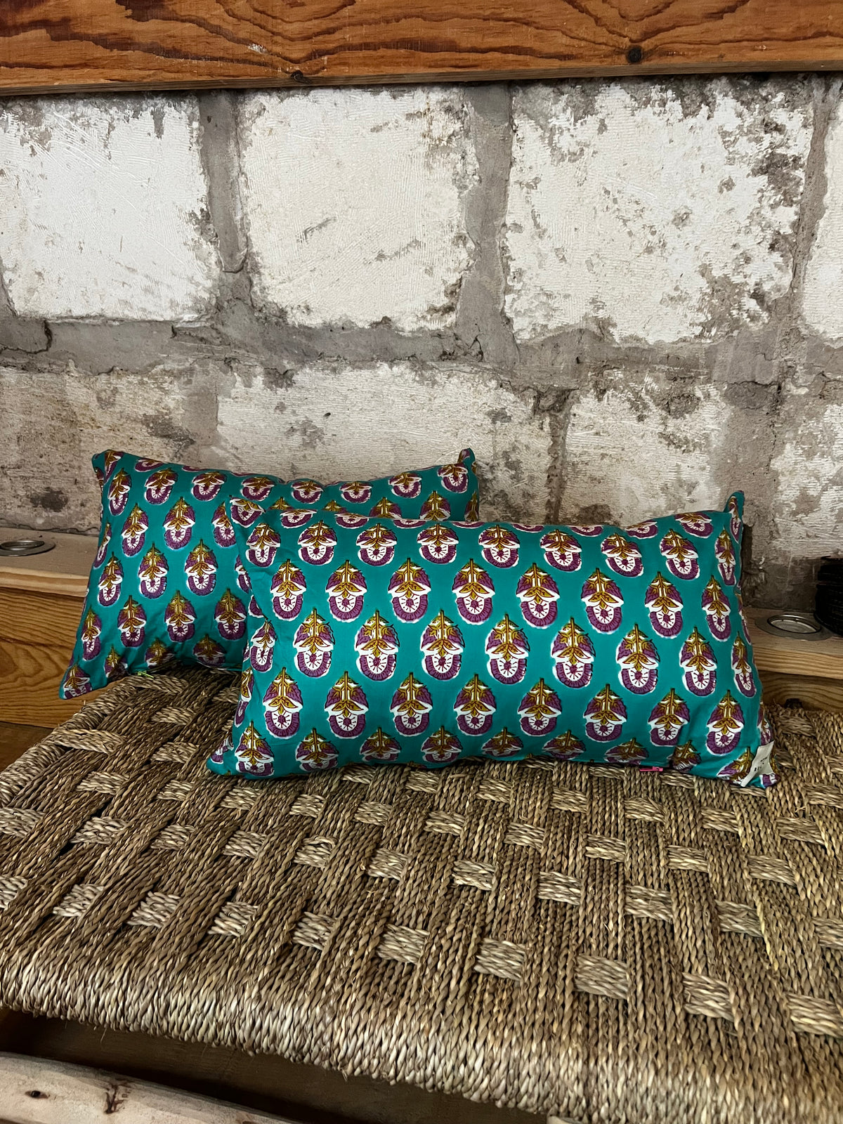 Coussin Indiennes